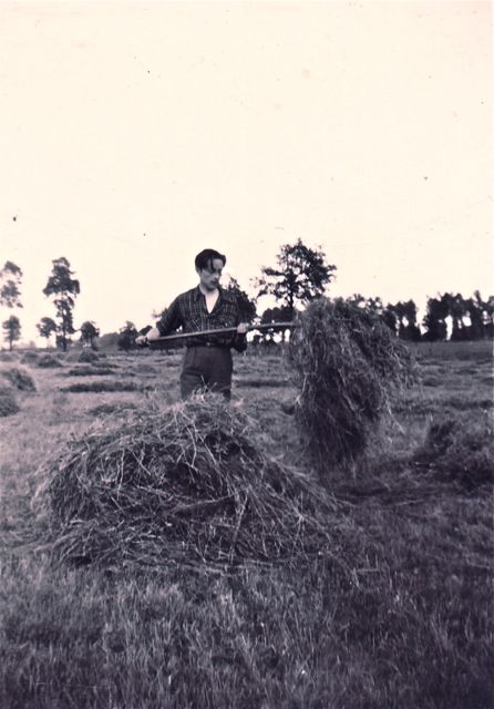 Dit was de man van de redactie van Verschuerens modern woordenboek die de spreekwoorden uitteste. Teveel hooi… 